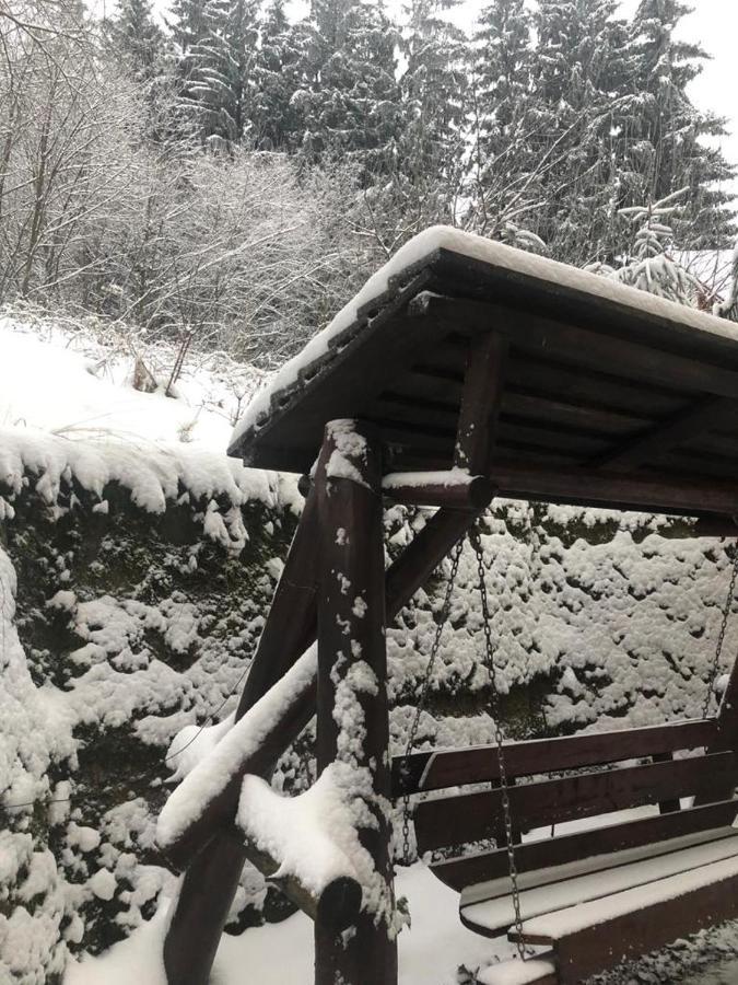 Apartament Nicolle Daire Poiana Braşov Dış mekan fotoğraf