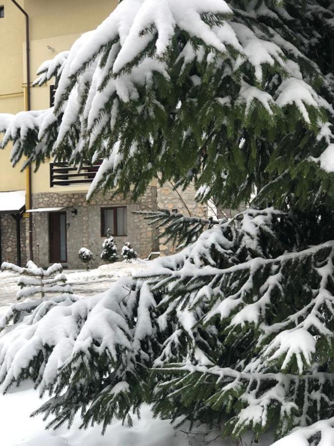 Apartament Nicolle Daire Poiana Braşov Dış mekan fotoğraf